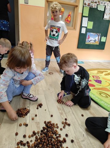IMG-20241014-WA0024