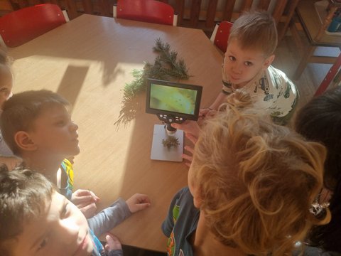 IMG-20241204-WA0021