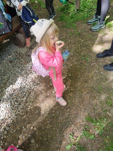 IMG-20250518-WA0004 (1)