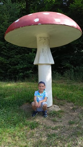 IMG-20250627-WA0015