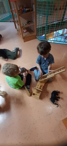 IMG-20260312-WA0009 (1)