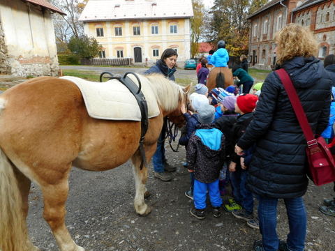 podzimní setkání 2018 v Bohumilicích (16)