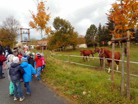 podzimní setkání 2018 v Bohumilicích (21)